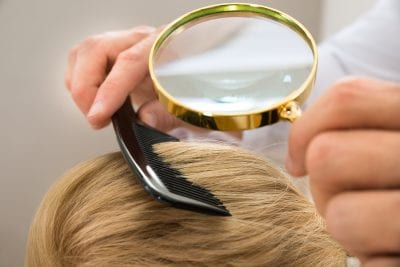 Head Lice Treatment & Removal Murphy, TX